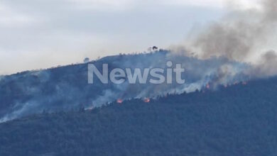 Συνελήφθη-51χρονος-για-τη-φωτιά-στην-Άμπελο-Αχαΐας-–-Υπό-έλεγχο-το-πύρινο-μέτωπο