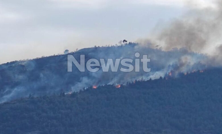 Συνελήφθη-51χρονος-για-τη-φωτιά-στην-Άμπελο-Αχαΐας-–-Υπό-έλεγχο-το-πύρινο-μέτωπο