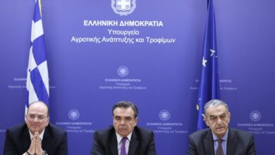 Αφθώδης-πυρετός-στη-Λέσβο:-Σχέδιο-για-ελεγχόμενη-διακίνηση-τυριών-και-ενίσχυση-με-10-κτηνιάτρους