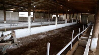 Στο-πλευρό-των-πληγέντων-κτηνοτρόφων-του-Αμπελώνα-ο-Κουρέτας