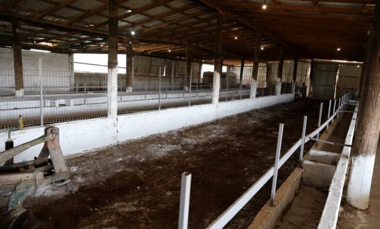 Στο-πλευρό-των-πληγέντων-κτηνοτρόφων-του-Αμπελώνα-ο-Κουρέτας