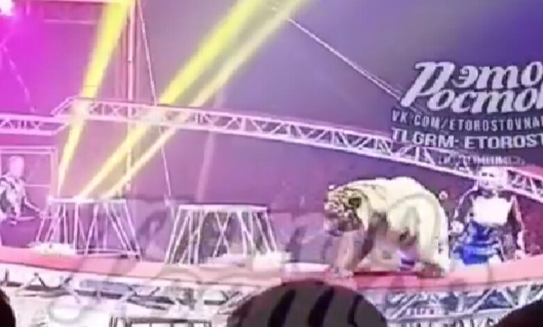 «Θρίλερ»-σε-τσίρκο-στη-Ρωσία:-Τίγρης-ξέφυγε-από-τα-προστατευτικά-δίχτυα-και-έκανε-βόλτες-στις-κερκίδες