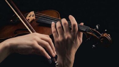 Τρίκαλα:-Σεμινάριο-βιολιού-με-τον-Δημήτρη-Χανδράκη