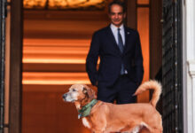 Ο-Κυριάκος-Μητσοτάκης-υποδέχτηκε-τον-πρίγκιπα-Αλβέρτο-Β’-του-Μονακό-μαζί-με-τον-Πίνατ-–-Τα-στιγμιότυπα-από-το-Μέγαρο-Μαξίμου