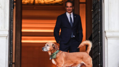 Ο-Κυριάκος-Μητσοτάκης-υποδέχτηκε-τον-πρίγκιπα-Αλβέρτο-Β’-του-Μονακό-μαζί-με-τον-Πίνατ-–-Τα-στιγμιότυπα-από-το-Μέγαρο-Μαξίμου