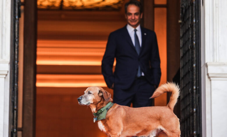 Ο-Κυριάκος-Μητσοτάκης-υποδέχτηκε-τον-πρίγκιπα-Αλβέρτο-Β’-του-Μονακό-μαζί-με-τον-Πίνατ-–-Τα-στιγμιότυπα-από-το-Μέγαρο-Μαξίμου