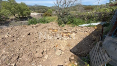 Αφθώδης-πυρετός:-«Υγειονομική-βόμβα»-οι-χώροι-ταφής-των-μολυσμένων-ζώων-στη-Λέσβο-–-Δείτε-φωτογραφίες