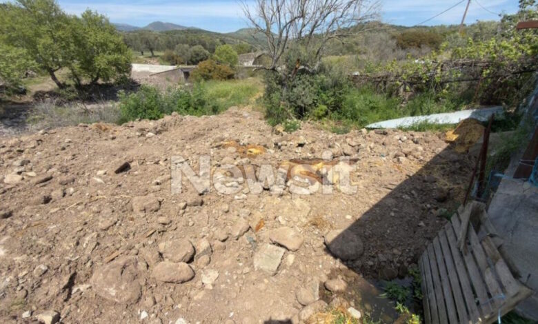 Αφθώδης-πυρετός:-«Υγειονομική-βόμβα»-οι-χώροι-ταφής-των-μολυσμένων-ζώων-στη-Λέσβο-–-Δείτε-φωτογραφίες