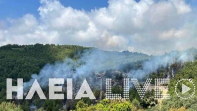 Φωτιά-στην-Ηλεία,-ρίψεις-νερού-από-ένα-αεροσκάφος