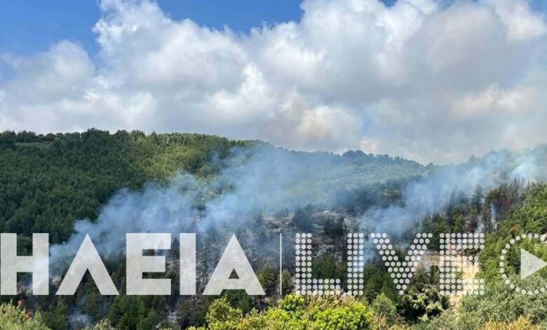 Φωτιά-στην-Ηλεία,-ρίψεις-νερού-από-ένα-αεροσκάφος