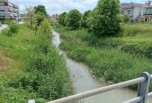 Ληθαίος:-Η-επιχείρηση-«καθαρισμός»-θέλει-τον-χρόνο-της