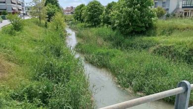 Ληθαίος:-Η-επιχείρηση-«καθαρισμός»-θέλει-τον-χρόνο-της