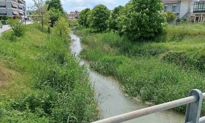 Ληθαίος:-Η-επιχείρηση-«καθαρισμός»-θέλει-τον-χρόνο-της