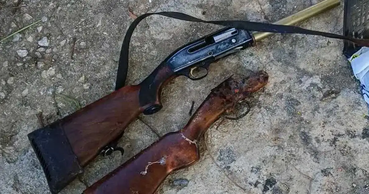 Ασπρόπυργος:-10-συλλήψεις,-όπλα-σε-βόθρο-και-ρευματοκλοπές-–-Βίντεο-και-φωτογραφίες