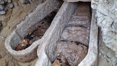 Αίγυπτος:-Αρχαιολόγοι-ανακάλυψαν-αντίγραφο-της-«Ιλιάδας»-του-Ομήρου,-στο-στομάχι-μιας-μούμιας