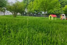 Τρίκαλα:-Καθάρισαν-το-οικόπεδο,-«ξέχασαν»-το-2ο-Νηπιαγωγείο