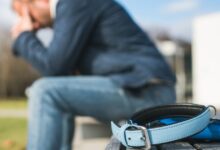 Όταν-φεύγει-ένα-κατοικίδιο,-δεν-είναι-«απλά-ένα-ζώο»