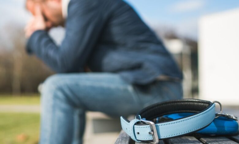 Όταν-φεύγει-ένα-κατοικίδιο,-δεν-είναι-«απλά-ένα-ζώο»