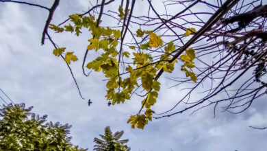 Καιρός-αύριο:-Βροχές-σε-Κυκλάδες-και-Δωδεκάνησα,-καταιγίδες-στην-Κρήτη