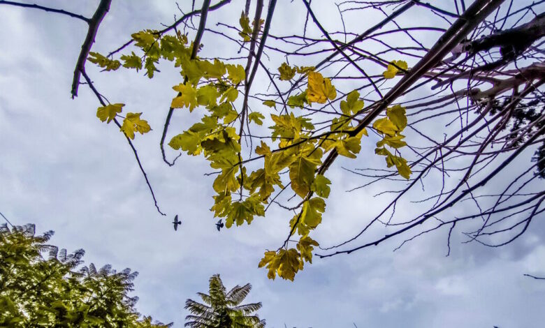Καιρός-αύριο:-Βροχές-σε-Κυκλάδες-και-Δωδεκάνησα,-καταιγίδες-στην-Κρήτη