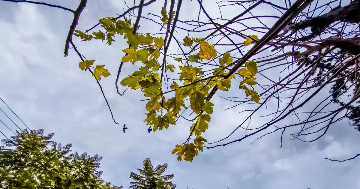 Καιρός-αύριο:-Βροχές-σε-Κυκλάδες-και-Δωδεκάνησα,-καταιγίδες-στην-Κρήτη