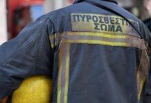 Πυρκαγιές:-“Απαιτητικό”-το-φετινό-καλοκαίρι-–-Στο-μικροσκόπιο-περιοχές-όπως-η-Θεσσαλία