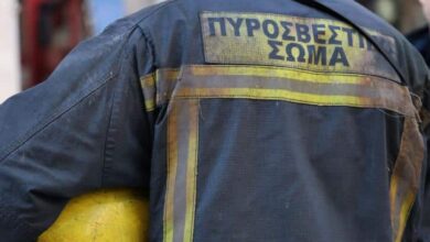 Πυρκαγιές:-“Απαιτητικό”-το-φετινό-καλοκαίρι-–-Στο-μικροσκόπιο-περιοχές-όπως-η-Θεσσαλία