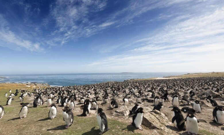 «Απρόθυμοι»-στον-πόλεμο-του-Ιράν:-Με-αλλαγή-στάσης-«στο-ζήτημα-των-Φόκλαντ»-απειλεί-η-Ουάσινγκτον-το-Λονδίνο
