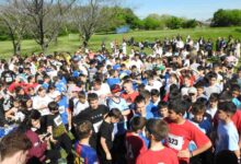 ΤΕΦΑΑ-Τρικάλων:-Ρεκόρ-συμμετοχών-στους-αγώνες-δημοτικών-σχολείων 