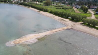 Ωρωπός:-Πέταξαν-μπάζα-στην-λιμνοθάλασσα-natura-και-έφτιαξαν-δρόμο-60-μέτρων-–-Μηνύσεις-από-τον-δήμο