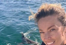 Μαριέττα-Χρουσαλά:-Κολύμπι-δίπλα-σε-λευκούς-καρχαρίες-–-«Τι-εμπειρία-και αδρεναλίνη»-έγραψε-στη-λεζάντα-του-βίντεο