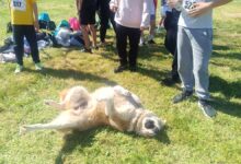 Άλλοι-έτρεξαν,-άλλος-κουράστηκε