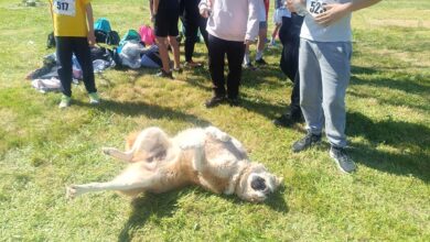 Άλλοι-έτρεξαν,-άλλος-κουράστηκε