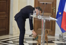 Ο-Εμανουέλ-Μακρόν-γνώρισε-τον-Πίνατ-–-Φωτογραφίες-από-τα-χάδια-και-τα-παιχνίδια-με-τον-σκύλο-του-Κυριάκου-Μητσοτάκη