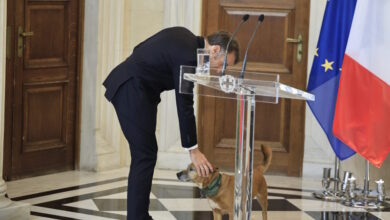 Ο-Εμανουέλ-Μακρόν-γνώρισε-τον-Πίνατ-–-Φωτογραφίες-από-τα-χάδια-και-τα-παιχνίδια-με-τον-σκύλο-του-Κυριάκου-Μητσοτάκη