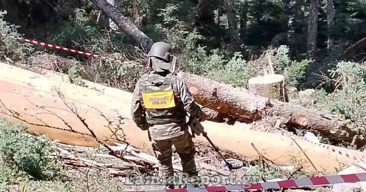 Ευρυτανία:-Εντοπίστηκε-χειροβομβίδα-σε-δάσος-έξω-από-το-χωριό-Νόστιμο