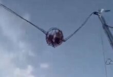 Τρόμος-σε-λούνα-παρκ-στη-Σεβίλλη:-Έσπασε-ιμάντας-παιχνιδιού-και-τραυματίστηκαν-4-άτομα