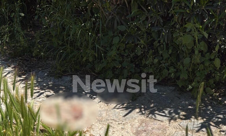 Αιματηρή-συμπλοκή-στον-Λόφο-Φιλοπάππου-–-Δύο-τραυματίες