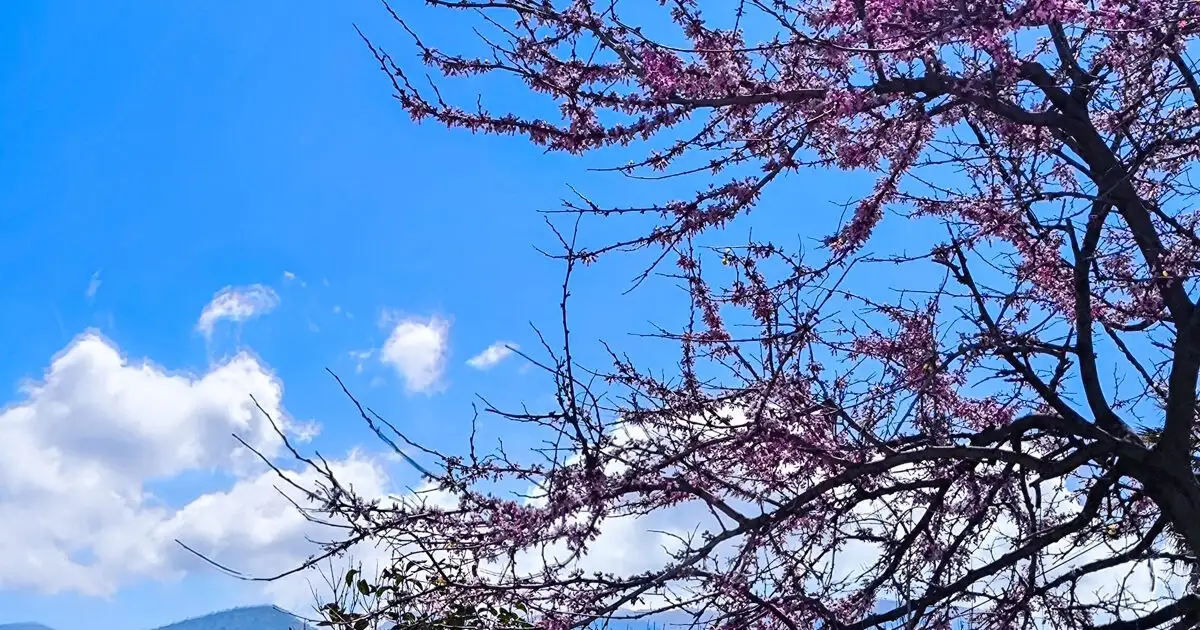 Καιρός-αύριο:-Ηλιοφάνεια-σε-όλη-τη-χώρα-–-Πιθανές-βροχές-και-καταιγίδες-στα-δυτικά-ορεινά