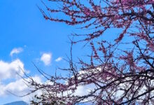 Καιρός-αύριο:-Ηλιοφάνεια-σε-όλη-τη-χώρα-–-Πιθανές-βροχές-και-καταιγίδες-στα-δυτικά-ορεινά