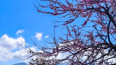 Καιρός-αύριο:-Ηλιοφάνεια-σε-όλη-τη-χώρα-–-Πιθανές-βροχές-και-καταιγίδες-στα-δυτικά-ορεινά