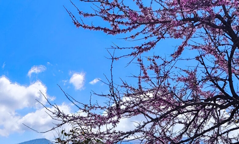 Καιρός-αύριο:-Ηλιοφάνεια-σε-όλη-τη-χώρα-–-Πιθανές-βροχές-και-καταιγίδες-στα-δυτικά-ορεινά