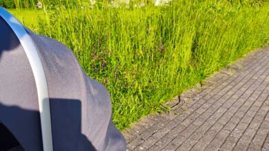 Τρίκκη:-«Ζούγκλα»-τα-πεζοδρόμια-του-οικισμού