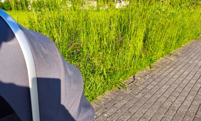 Τρίκκη:-«Ζούγκλα»-τα-πεζοδρόμια-του-οικισμού