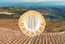 «ΟΠΕΚΕΠΕ-Νο-3»:-Τι-περιλαμβάνει-η-νέα-δικογραφία-η-οποία-αναμένεται-να-σταλεί-σύντομα-στις-Ελληνικές-αρχές