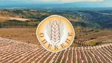 «ΟΠΕΚΕΠΕ-Νο-3»:-Τι-περιλαμβάνει-η-νέα-δικογραφία-η-οποία-αναμένεται-να-σταλεί-σύντομα-στις-Ελληνικές-αρχές