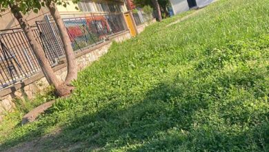 «Ζούγκλα»-η-αυλή-στο-9ο-Δημοτικό-Σχολείο-Τρικάλων