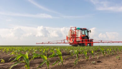 «Καμπανάκι»-για-την-αγροτική-παραγωγή-που-συρρικνώνεται-επί-σειρά-ετών-–-Οι-λόγοι