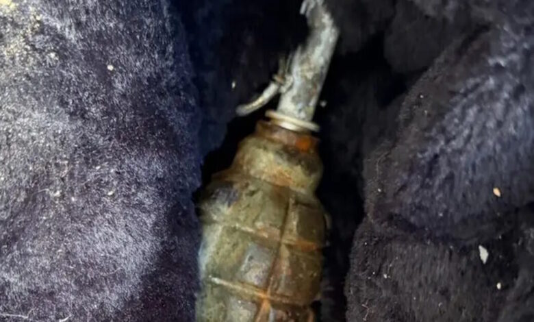 Κυψέλη:-Έκρυβαν-χειροβομβίδα-σε-σπίτι,-3-συλλήψεις