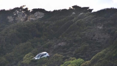 Ρόδο:-Προσπάθησε-να-ρίξει-αυτοκίνητο-σε-γκρεμό-έχοντας-μέσα-την-σύζυγο-και-το-παιδί-τους